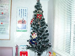 クリスマスツリー 写真